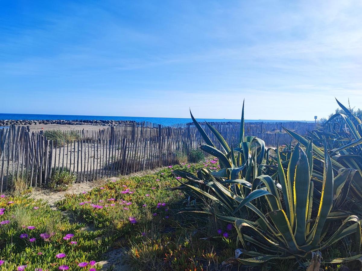 La Perle Bleue, 100 M De La Plage, Parking, Wifi フロンティニャン エクステリア 写真
