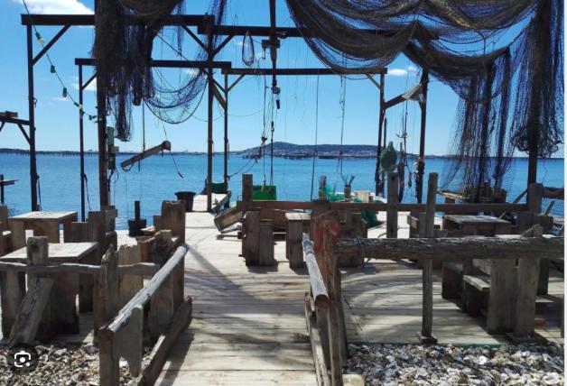 La Perle Bleue, 100 M De La Plage, Parking, Wifi フロンティニャン エクステリア 写真