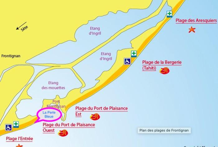 La Perle Bleue, 100 M De La Plage, Parking, Wifi フロンティニャン エクステリア 写真